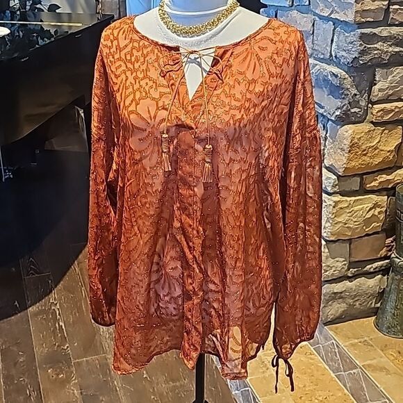 Lane Bryant nwt shimmering sheer pullover top size 14/16 - Picture 2 of 12